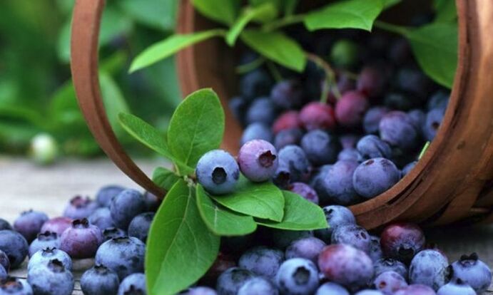 Blaubeeren sind eine beliebte Beere, die die Sehschärfe effektiv verbessert. 